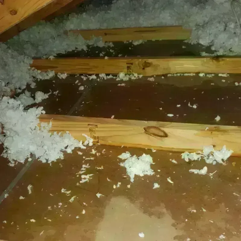 Attic Water Damage in Madison, NC