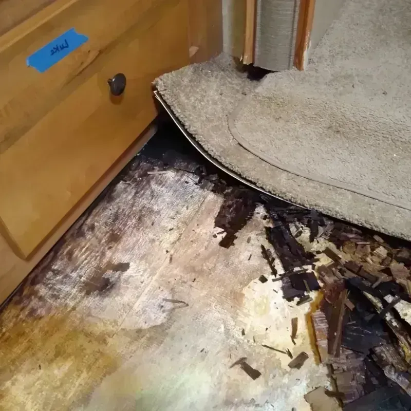 Wood Floor Water Damage in Madison, NC